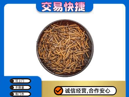 大石桥市高价回收散虫草